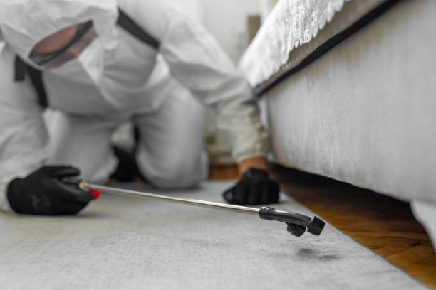 Professional Ant Control technician working in Cornish, ME